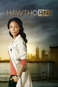 Hawthorne Cover, Poster, Hawthorne