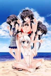 Kanokon Cover, Poster, Blu-ray,  Bild