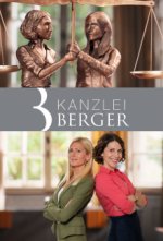 Cover Kanzlei Berger, Poster, Stream