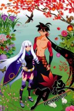 Cover Katanagatari, Poster, Stream