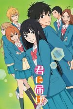 Cover Kimi ni Todoke, Poster, Stream