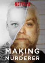 Cover Making a Murderer, Poster Making a Murderer