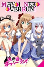 Cover Mayoi Neko Overrun!, Poster, Stream