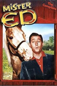 Mr. Ed Cover, Online, Poster