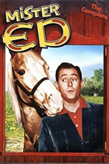 Mr. Ed, Cover, HD, Serien Stream, ganze Folge