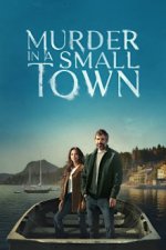 Cover Murder in a Small Town, Poster, Stream