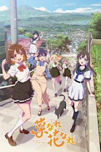 Poster, Na Nare Hana Nare Serien Cover