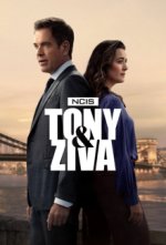 Staffel 1 Cover, Poster