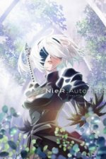 Cover NieR:Automata Ver1.1a, Poster, Stream