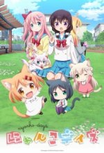 Cover Nyanko Days, Poster, Stream