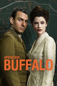 Operation Buffalo Cover, Poster, Blu-ray,  Bild