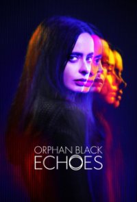 Orphan Black: Echoes Cover, Poster, Blu-ray,  Bild