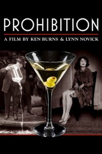 Prohibition - Eine amerikanische Erfahrung Cover, Poster, Blu-ray,  Bild