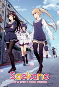 Saenai Heroine no Sodatekata Cover, Saenai Heroine no Sodatekata Poster