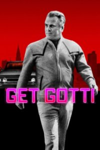 Schnappt Gotti Cover, Stream, TV-Serie Schnappt Gotti