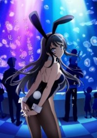 Cover Seishun Buta Yarou wa Bunny Girl Senpai no Yume o Minai, Seishun Buta Yarou wa Bunny Girl Senpai no Yume o Minai