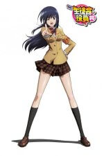 Cover Seitokai Yakuindomo, Poster, Stream