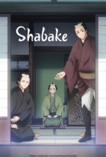 Staffel 1 Cover, Poster