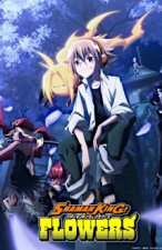 Cover Shaman King (2021), Poster, Stream