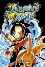 Cover Shaman King, Poster, Stream