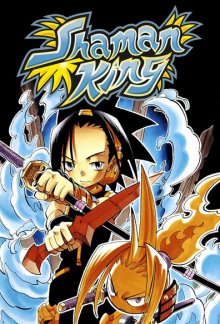 Shaman King Cover, Poster, Blu-ray,  Bild