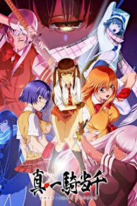 Cover Shin Ikki Tousen, Poster