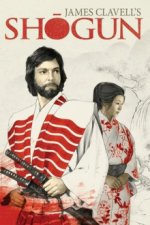 Cover Shogun, Poster, Stream