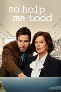 So Help Me Todd Cover, Poster, Blu-ray,  Bild