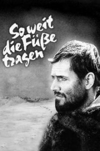 So weit die Füße tragen Cover, Poster, Blu-ray,  Bild