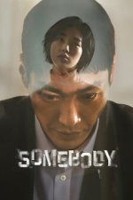 Cover Somebody, Poster Somebody