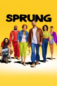 Sprung Cover, Poster, Sprung DVD