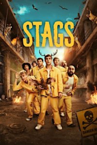 Cover Stags (2024), Poster Stags (2024), DVD