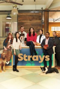 Cover Strays, TV-Serie, Poster