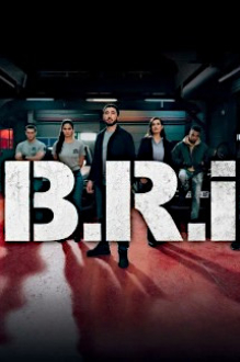 The Brigade, Cover, HD, Serien Stream, ganze Folge