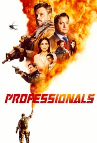 Cover The Professionals – Gefahr ist ihr Geschäft, TV-Serie, Poster