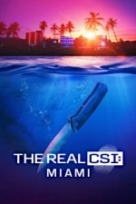 Cover The Real CSI: Miami, Poster, Stream