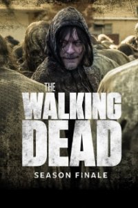 Cover The Walking Dead, TV-Serie, Poster