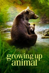 Tierisch gute Erziehung Cover, Poster, Blu-ray,  Bild
