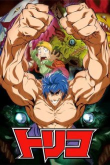 Cover Toriko, TV-Serie, Poster