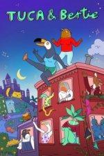 Cover Tuca & Bertie, Poster, Stream