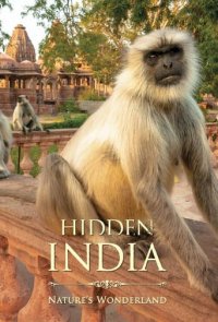 Verborgenes Indien Cover, Online, Poster