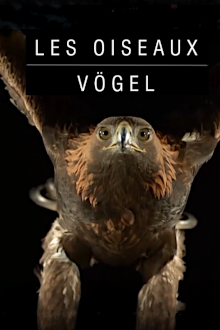 Vögel, Cover, HD, Serien Stream, ganze Folge