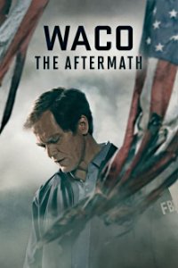 Waco: The Aftermath Cover, Online, Poster