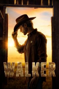 Walker Cover, Online, Poster