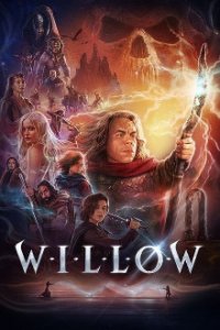 Willow Cover, Poster, Blu-ray,  Bild