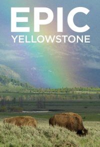 Yellowstone – Park der Extreme Cover, Online, Poster