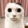 User Onlygaiming, Profilbild, Avatar