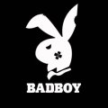 Paps Avatar, Paps Profilbild