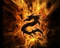 Profilbild Supergleisbauer12, Avatar
