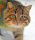 User Jadsert942, Profilbild, Avatar